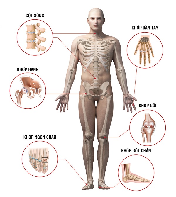 Các vị trí khớp xương cơ thể dễ bị thoái hoá